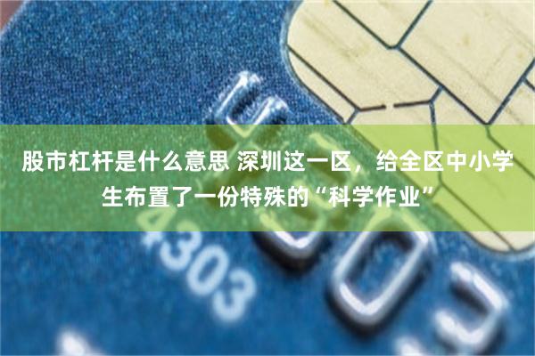 股市杠杆是什么意思 深圳这一区，给全区中小学生布置了一份特殊的“科学作业”