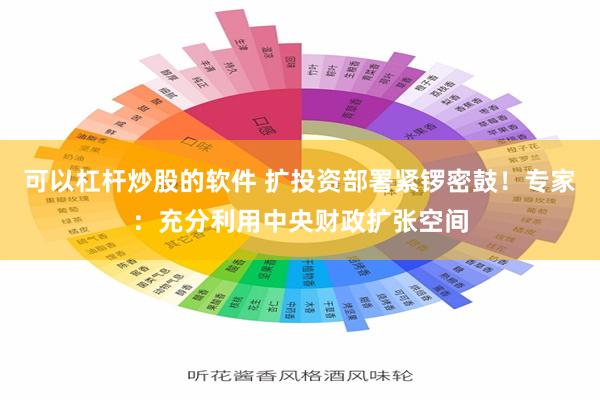 可以杠杆炒股的软件 扩投资部署紧锣密鼓！专家：充分利用中央财政扩张空间
