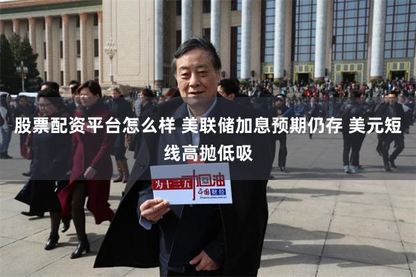 股票配资平台怎么样 美联储加息预期仍存 美元短线高抛低吸