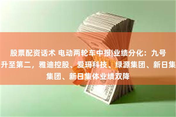 股票配资话术 电动两轮车中报|业绩分化：九号营收超爱玛升至第二，雅迪控股、爱玛科技、绿源集团、新日集体业绩双降