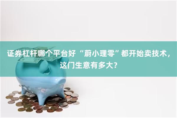 证券杠杆哪个平台好 “蔚小理零”都开始卖技术，这门生意有多大？