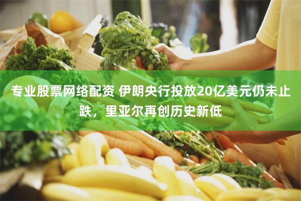 专业股票网络配资 伊朗央行投放20亿美元仍未止跌，里亚尔再创历史新低