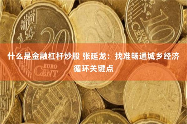什么是金融杠杆炒股 张延龙：找准畅通城乡经济循环关键点